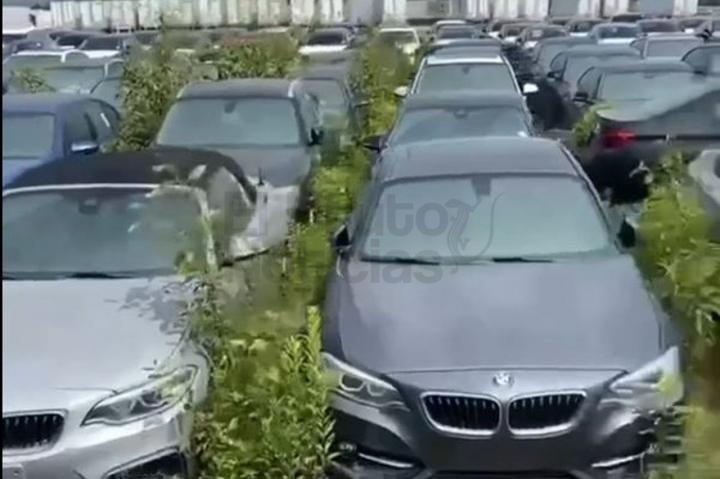 Más de 3000 autos BMW completamente nuevos están abandonados y pudriéndose al aire libre