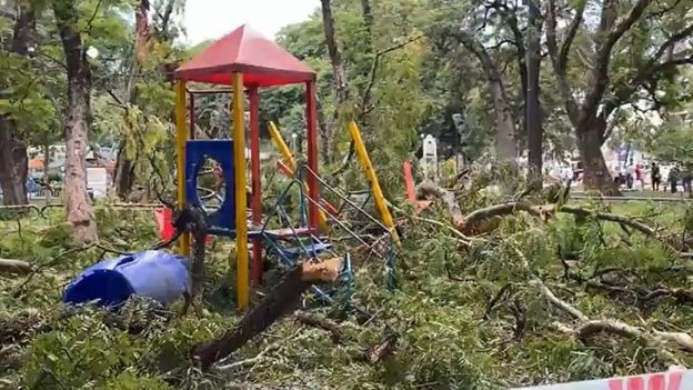 Cayó un árbol en un parque infantil en Tucumán y hay cinco nenes internados