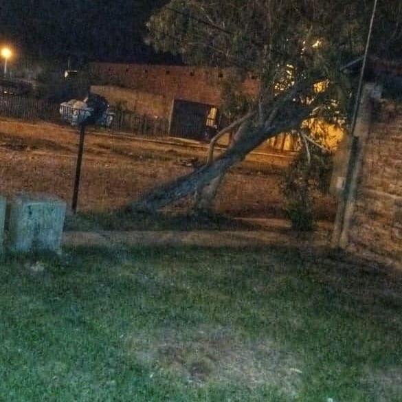 Intenso trabajo de la Policía tras un fuerte temporal de vientos